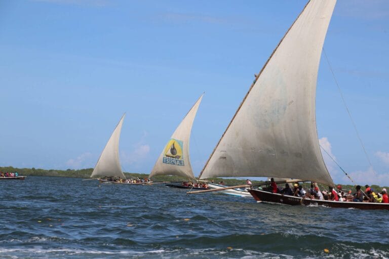 Read more about the article Maulidi Festival: A Blend of Faith, Culture, and Swahili Heritage