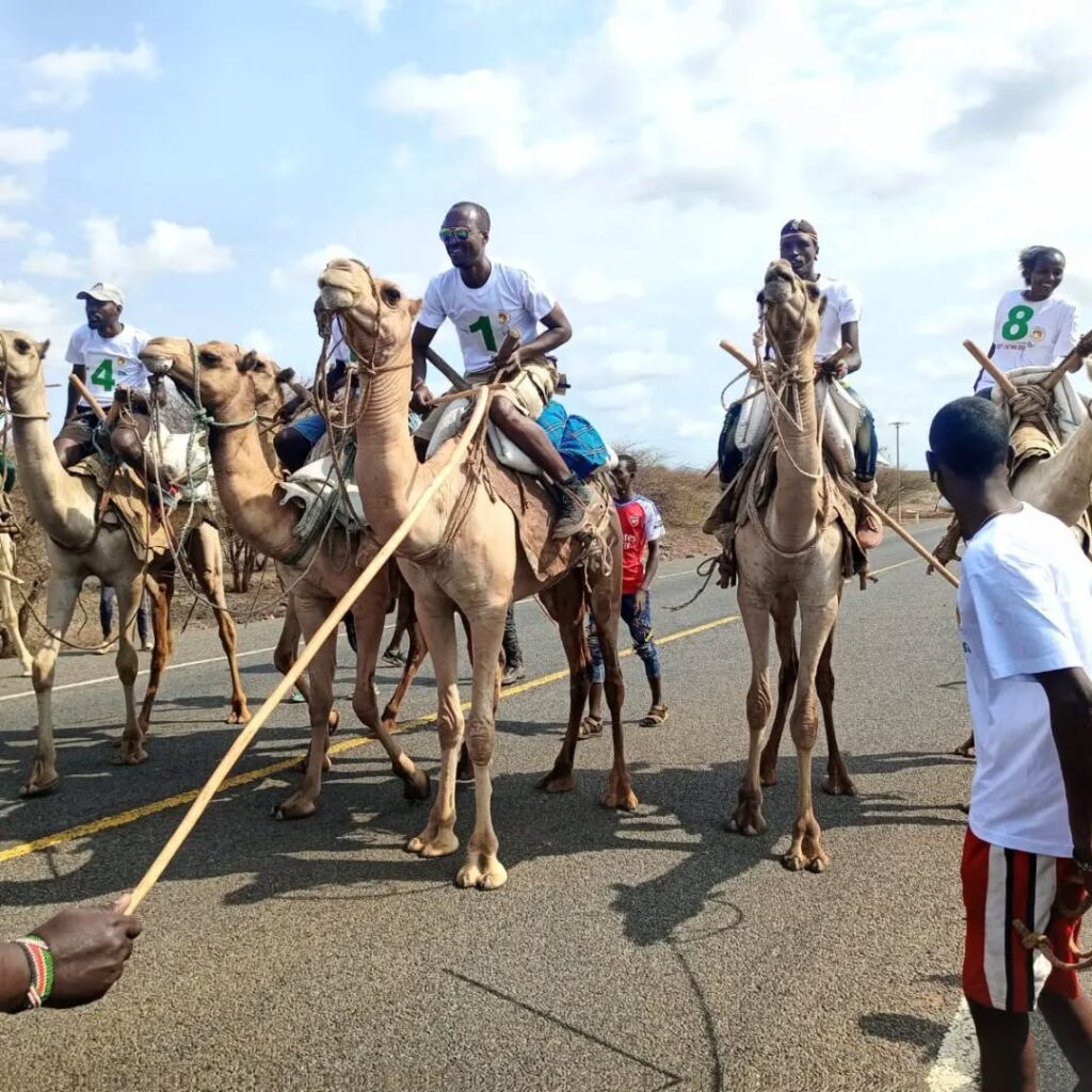 Rendille Cultural Fair
