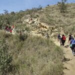 Read more about the article Mount Longonot Hiking Day Trip: What You Need to Know
