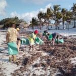 Read more about the article How to Join the Watamu Coastal Cleanup Movement