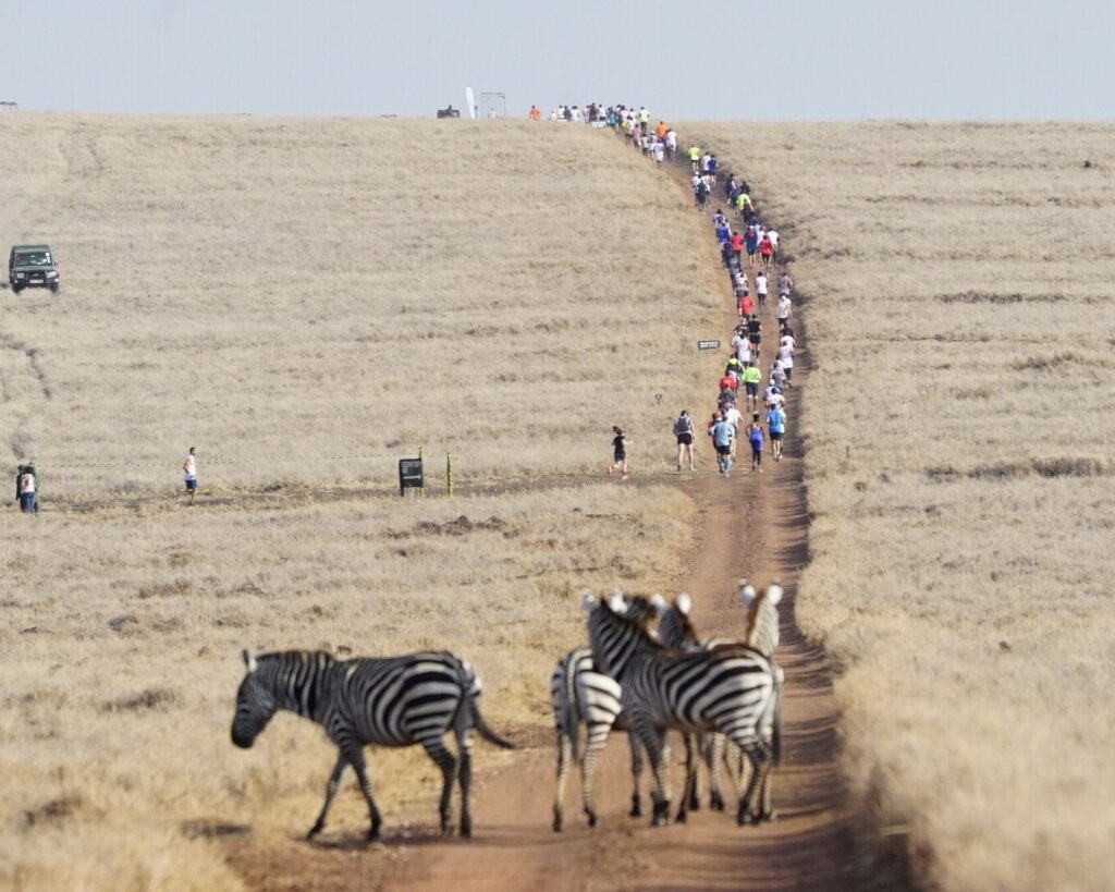Lewa Safari Marathon