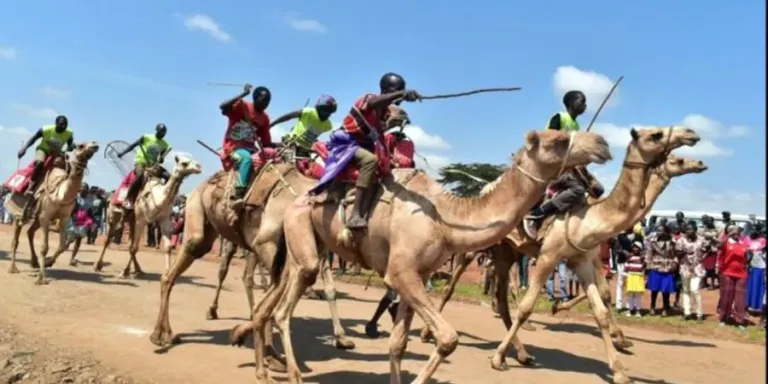  Maralal International Camel Derby