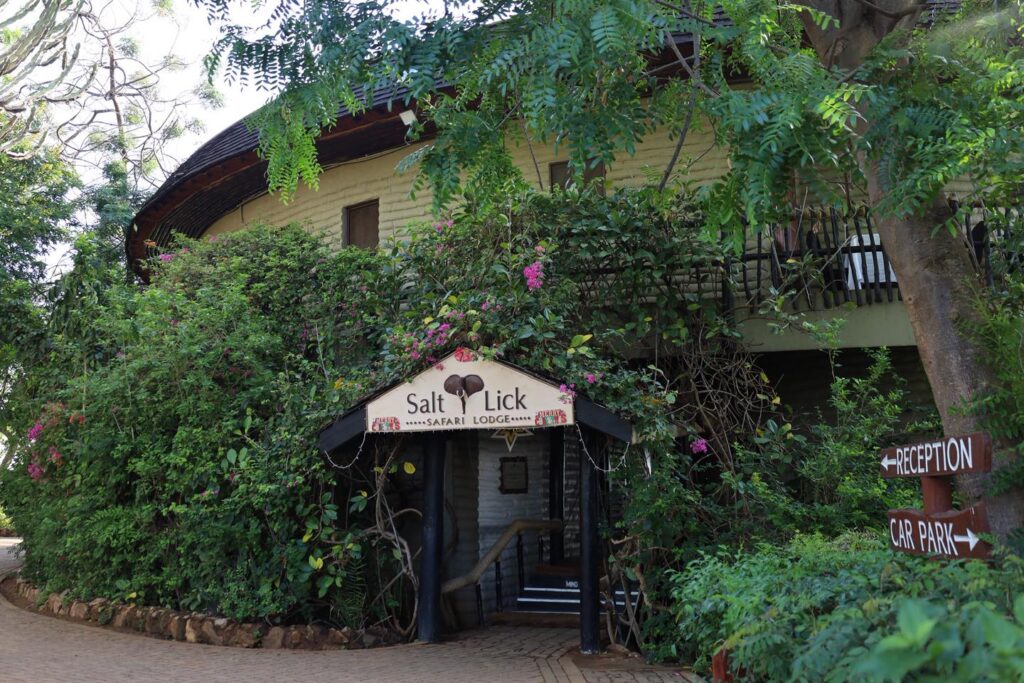  Salt Lick Safari Lodge kenya