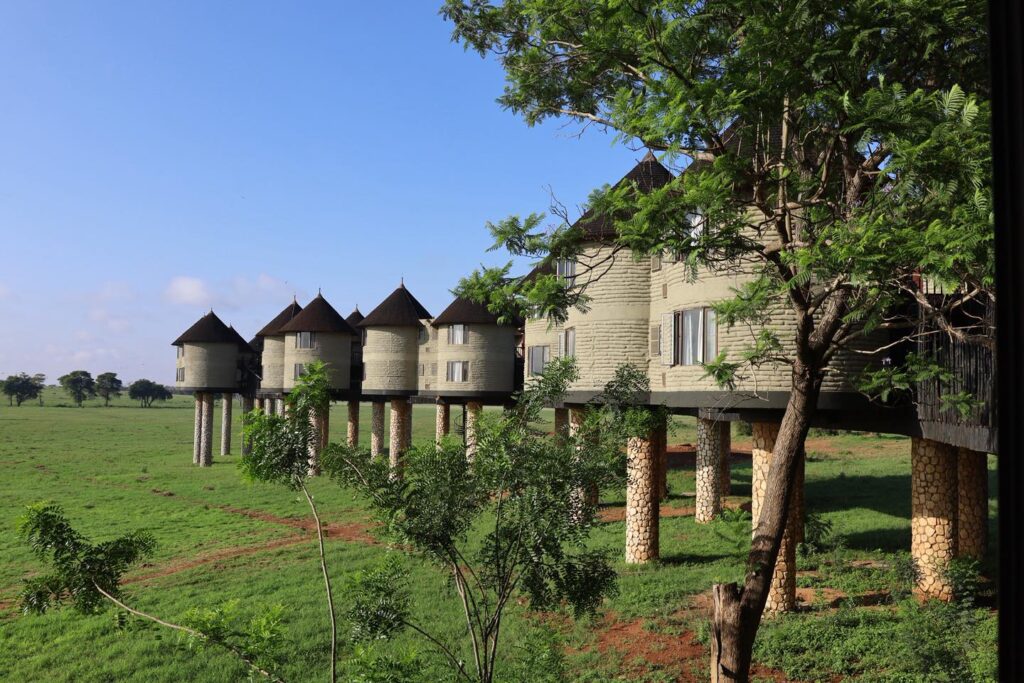  Salt Lick Safari Lodge kenya