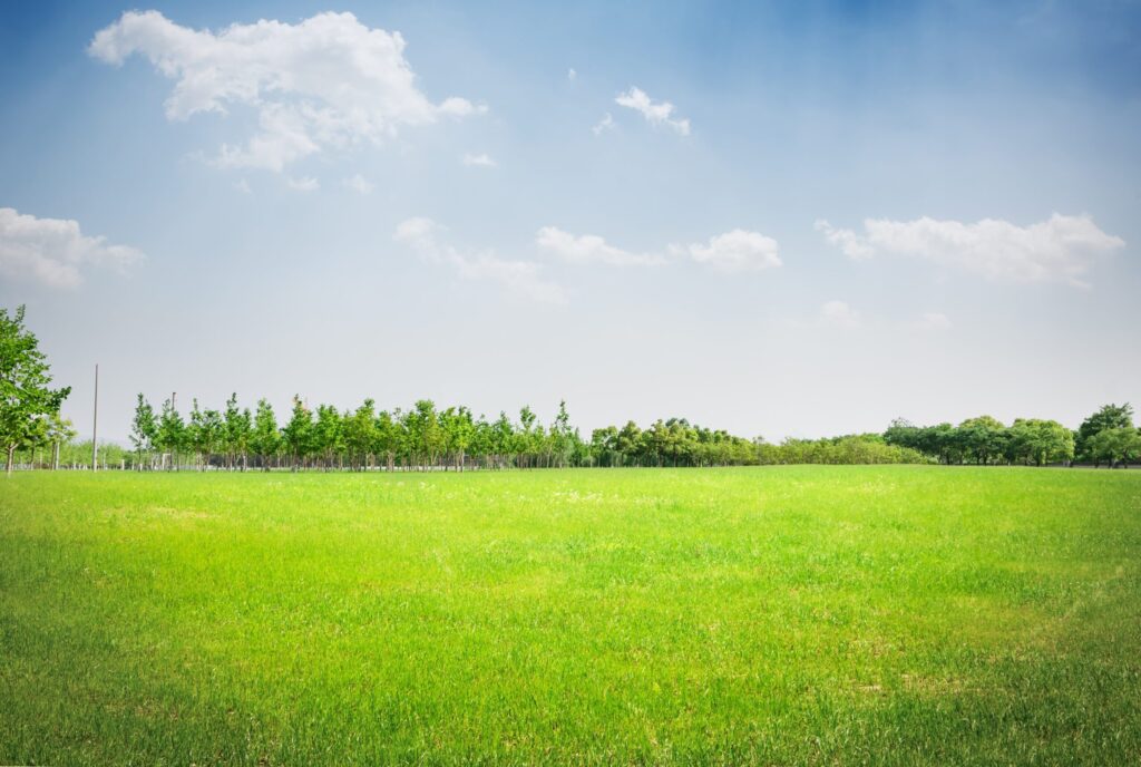 Buying property in Kenya as a foreigner