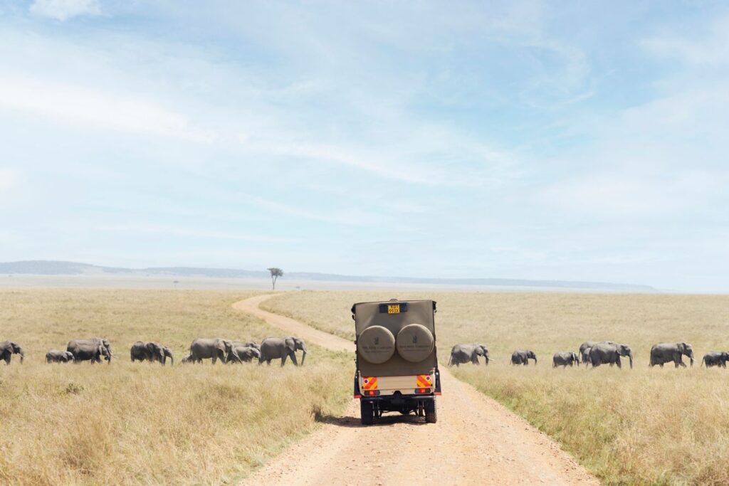 Ritz Carlton Maasai Mara