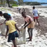 Read more about the article Watamu’s Eco Warriors: Stories from the Cleanup Festival