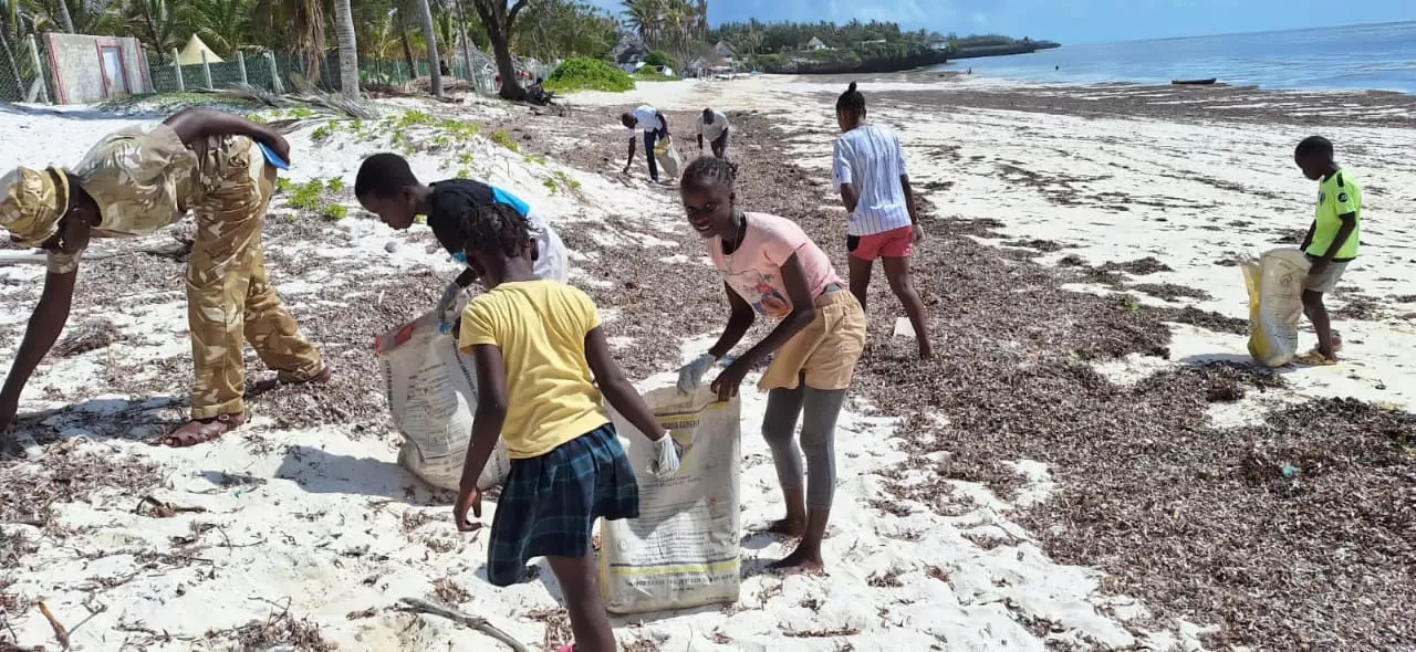 You are currently viewing Watamu’s Eco Warriors: Stories from the Cleanup Festival